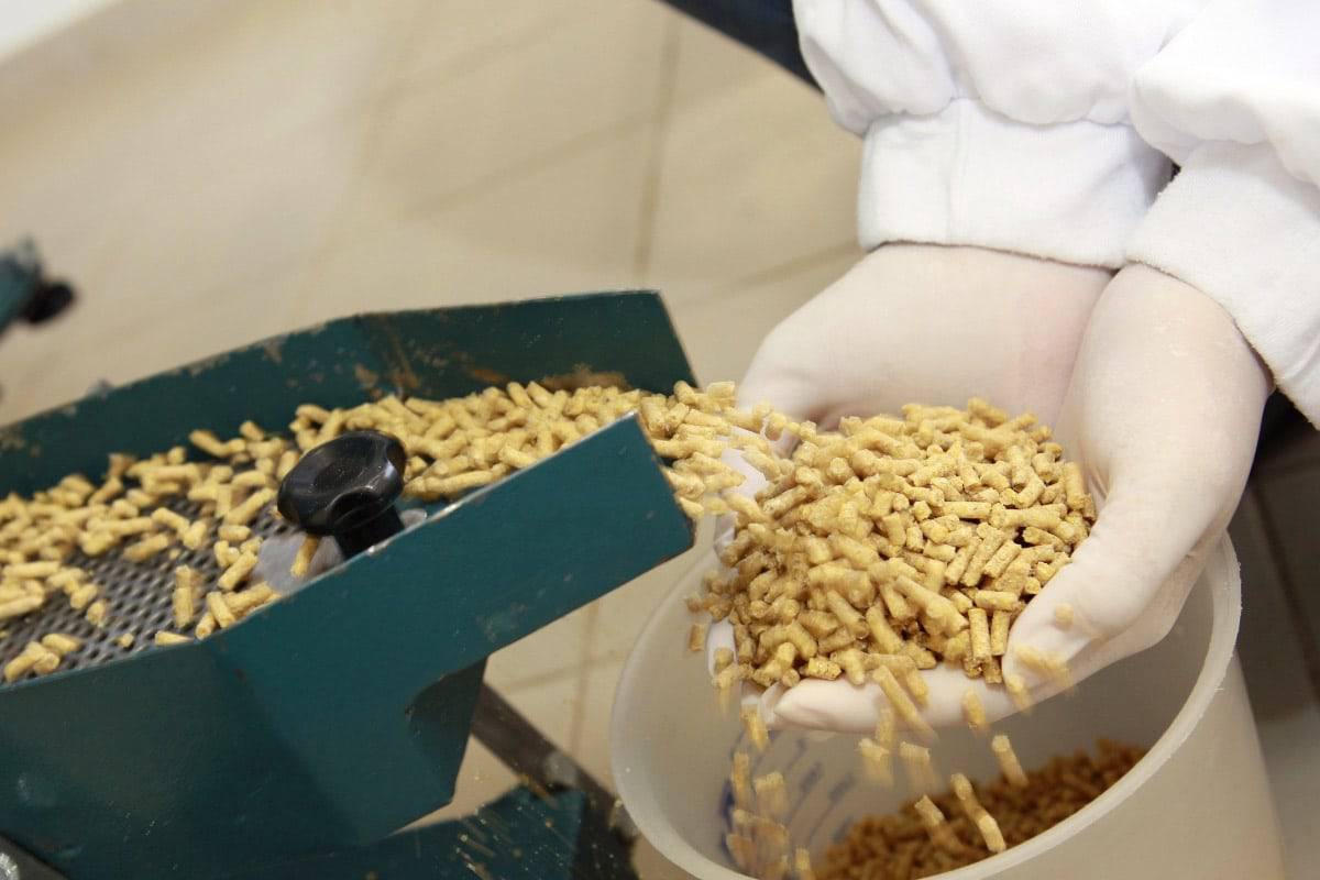 Inside a pet food processing company